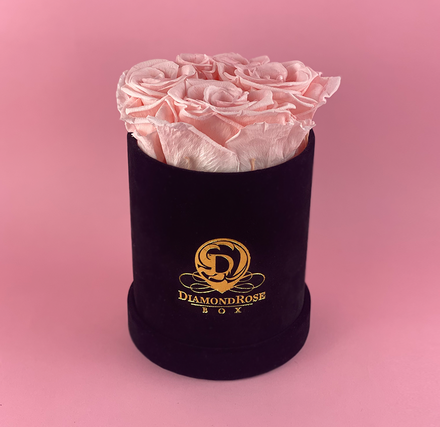 Gem Velvet Box Gem Velvet Box