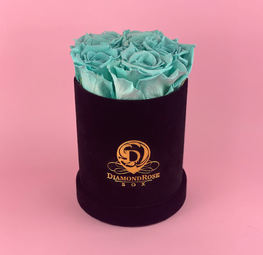 Gem Velvet Box