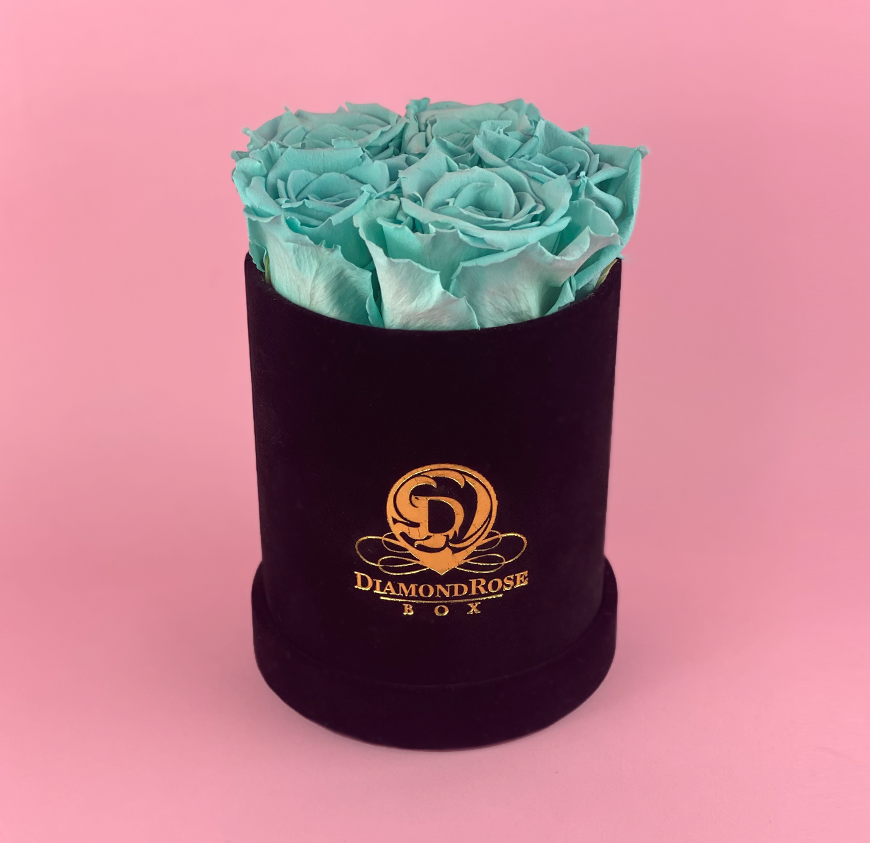 Gem Velvet Box Gem Velvet Box