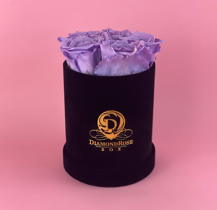 Gem Velvet Box Gem Velvet Box