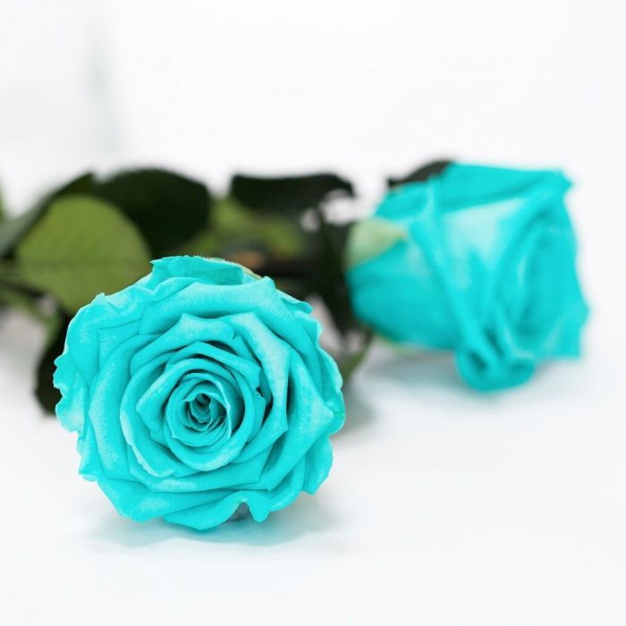 Dome Ceramic Box Dome Ceramic Box