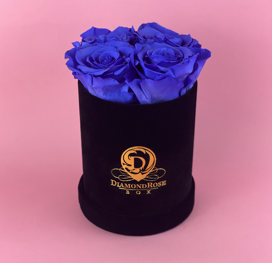 Gem Velvet Box Gem Velvet Box