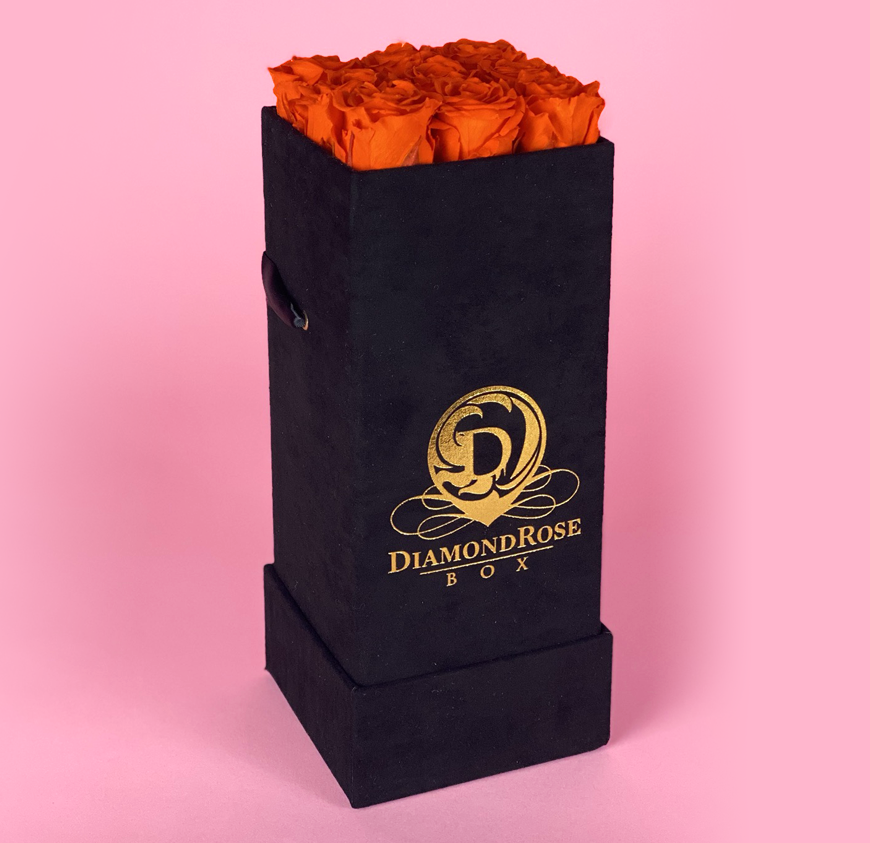 The Nine Carat Roses In a Velvet Box The Nine Carat Roses In a Velvet Box