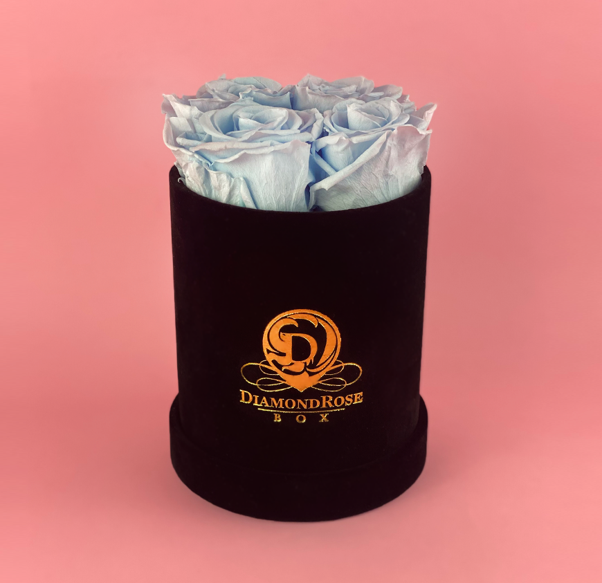 Gem Velvet Box Gem Velvet Box