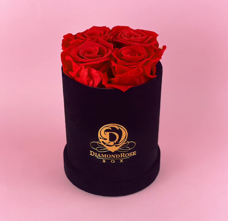 Gem Velvet Box Gem Velvet Box