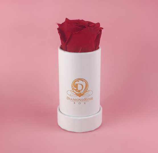 The One Carat Matte Box