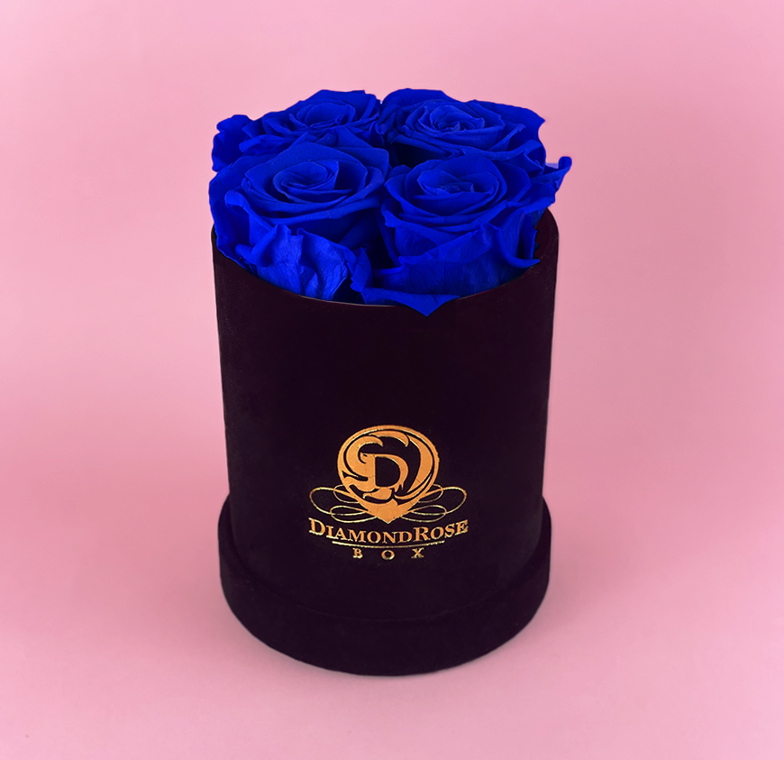 Gem Velvet Box Gem Velvet Box