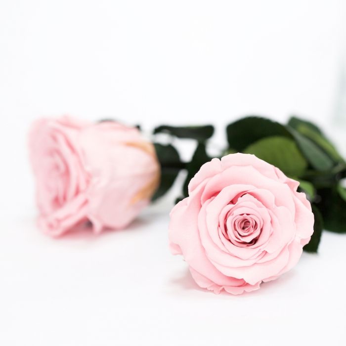 Dome Ceramic Box Dome Ceramic Box