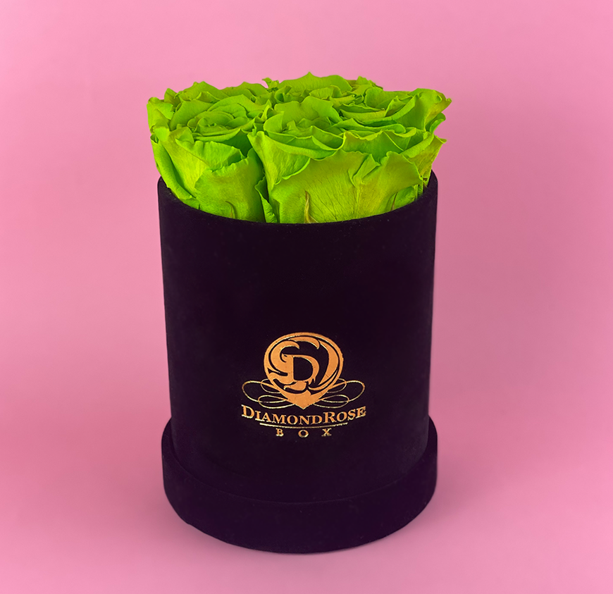 Gem Velvet Box Gem Velvet Box