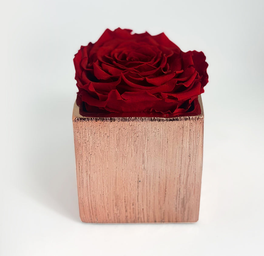 Etched Ceramic Single Rose Box Etched Ceramic Single Rose Box