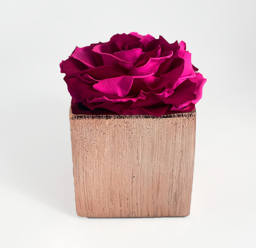 Etched Ceramic Single Rose Box Etched Ceramic Single Rose Box