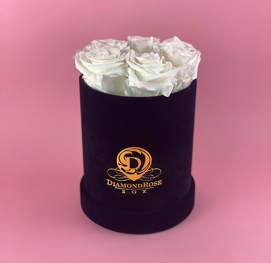 Gem Velvet Box Gem Velvet Box