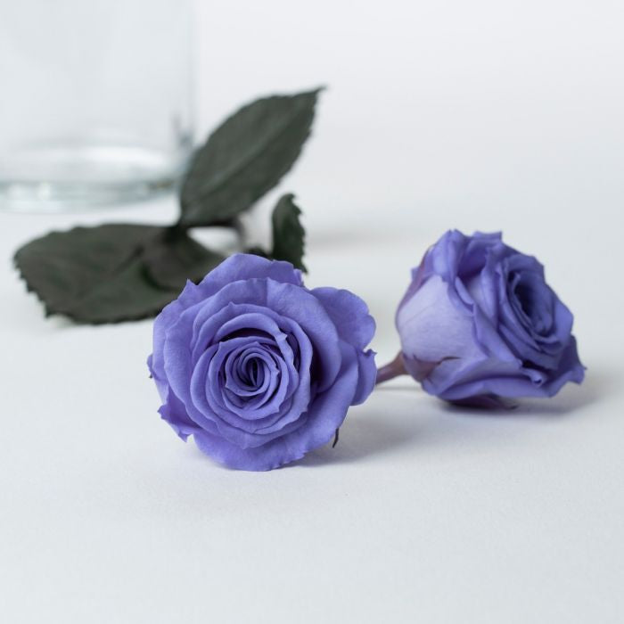 Dome Ceramic Box Dome Ceramic Box