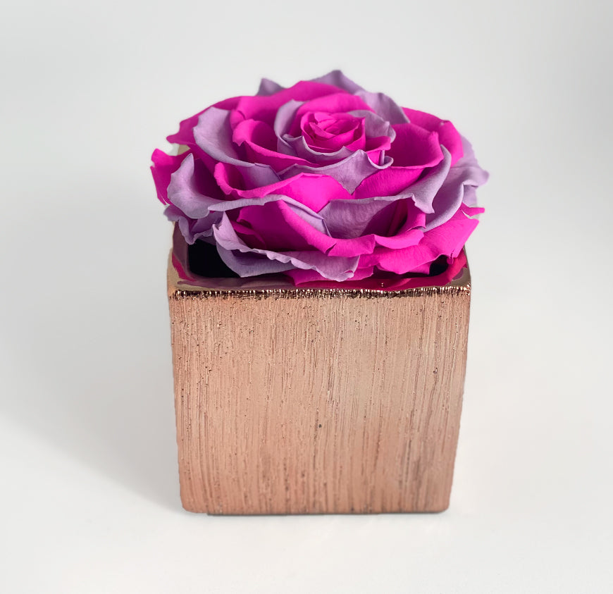 Etched Ceramic Single Rose Box Etched Ceramic Single Rose Box