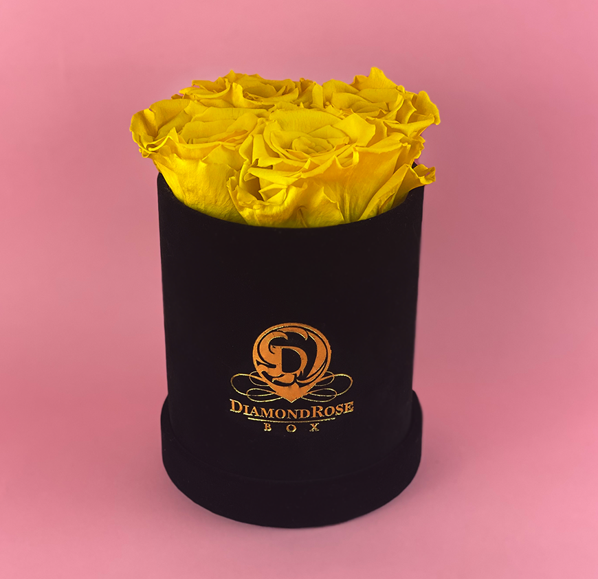 Gem Velvet Box Gem Velvet Box