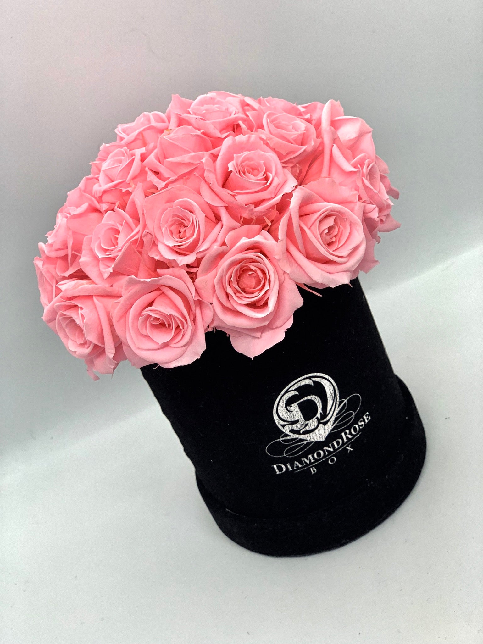 Diamond Dome Mini Diamond Dome Mini