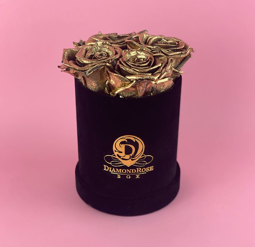 Gem Velvet Box Gem Velvet Box