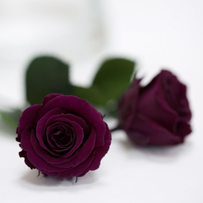 Dome Ceramic Box Dome Ceramic Box