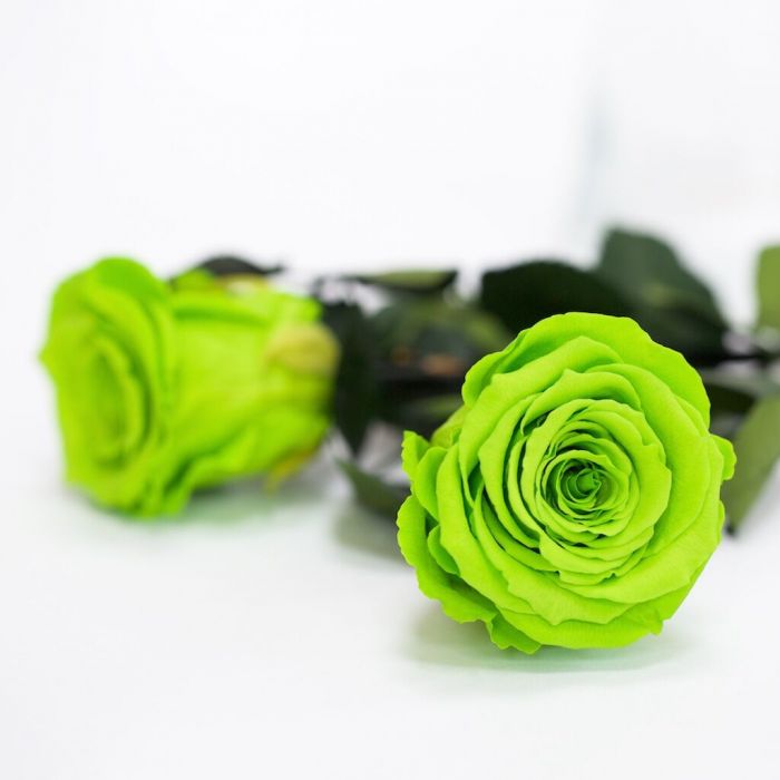 Dome Ceramic Box Dome Ceramic Box