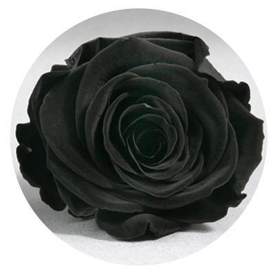 Red Velvet Heart Box with Mini Roses Red Velvet Heart Box with Mini Roses