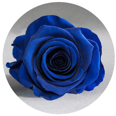 Red Velvet Heart Box with Mini Roses Red Velvet Heart Box with Mini Roses