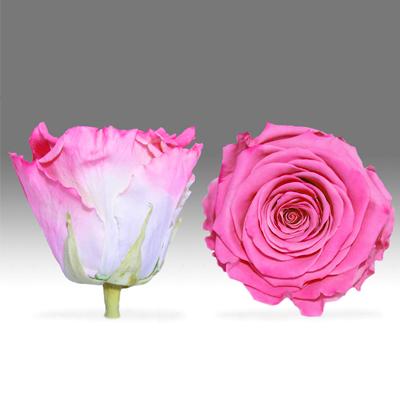 Red Velvet Heart Box with Mini Roses Red Velvet Heart Box with Mini Roses