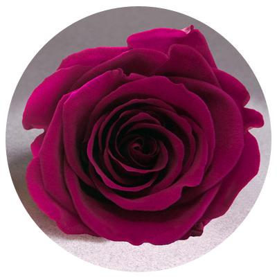 Red Velvet Heart Box with Mini Roses Red Velvet Heart Box with Mini Roses