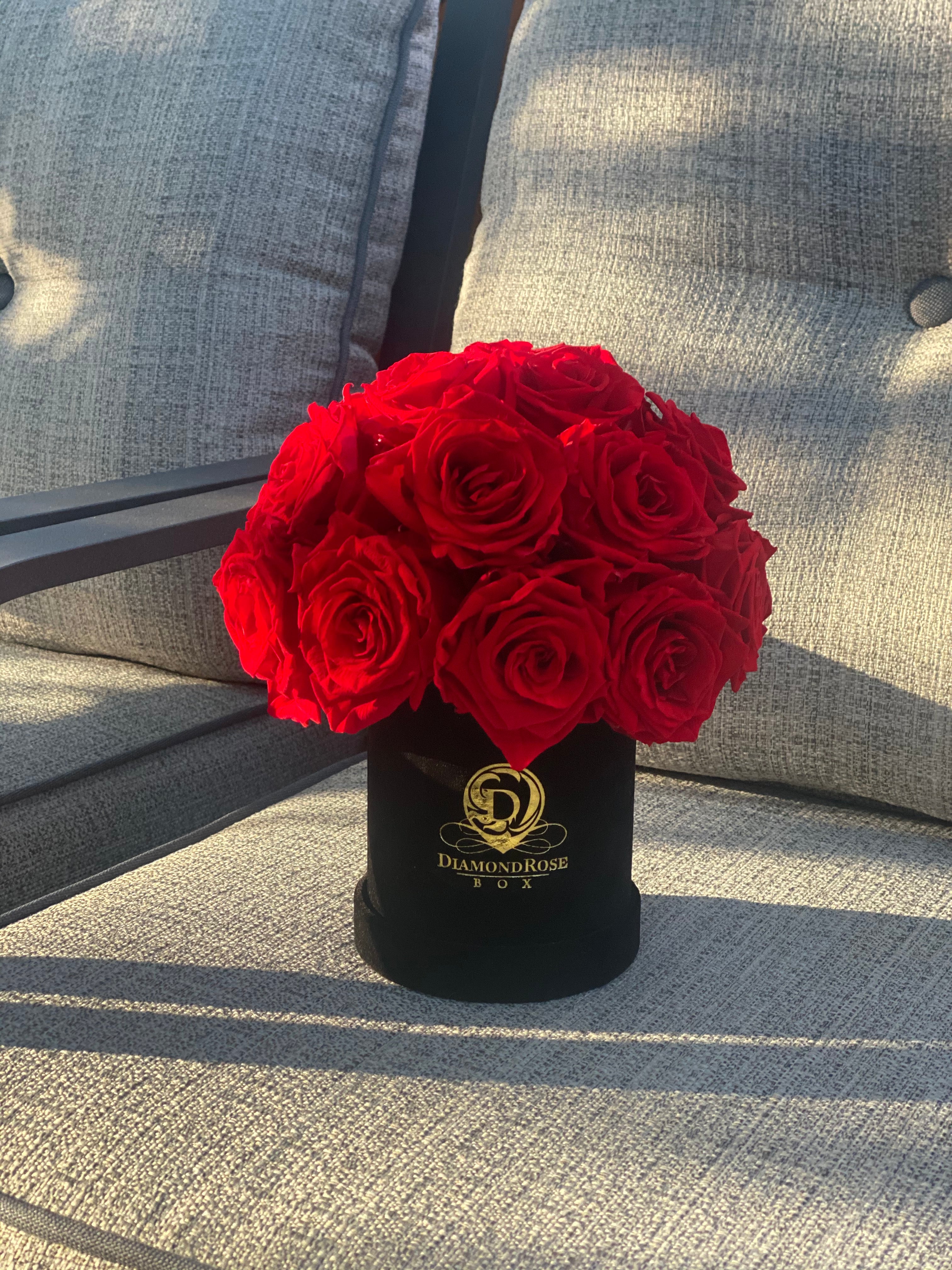 Diamond Dome Mini Diamond Dome Mini