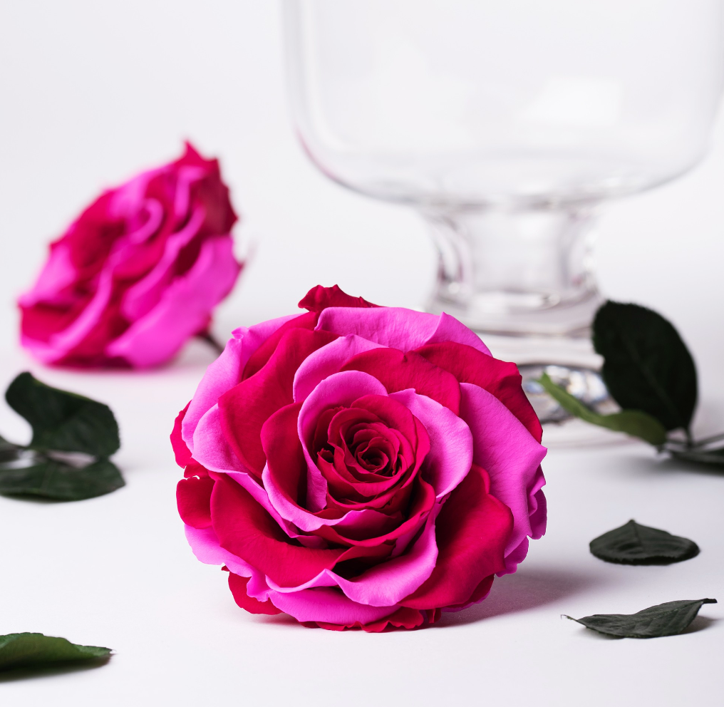 Love Lock Acrylic Box Love Lock Acrylic Box