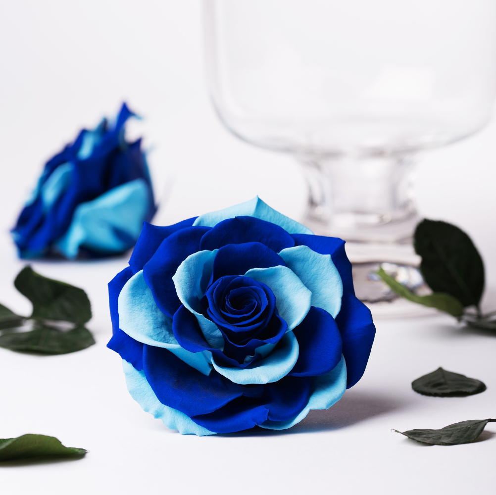 Love Lock Acrylic Box Love Lock Acrylic Box