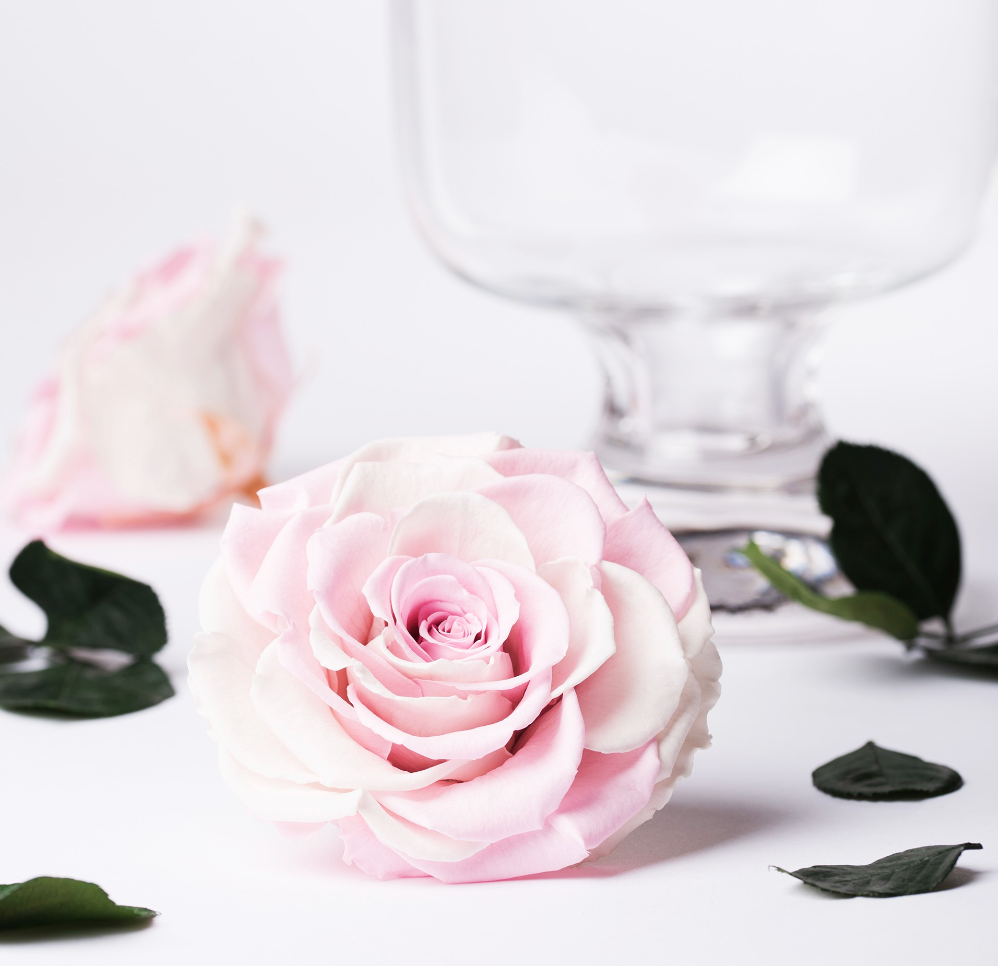 Love Lock Acrylic Box Love Lock Acrylic Box