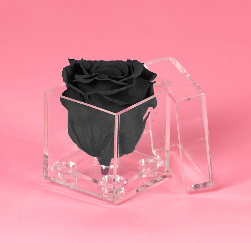 Diamond Box Diamond Box