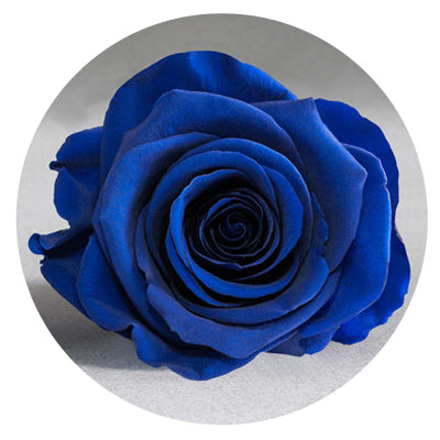 The Queens Long Lasting Roses In a Box The Queens Long Lasting Roses In a Box