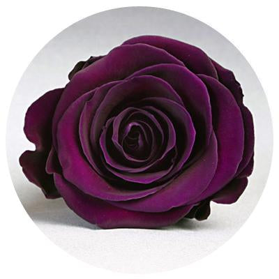 Diamond Dome Mini Diamond Dome Mini