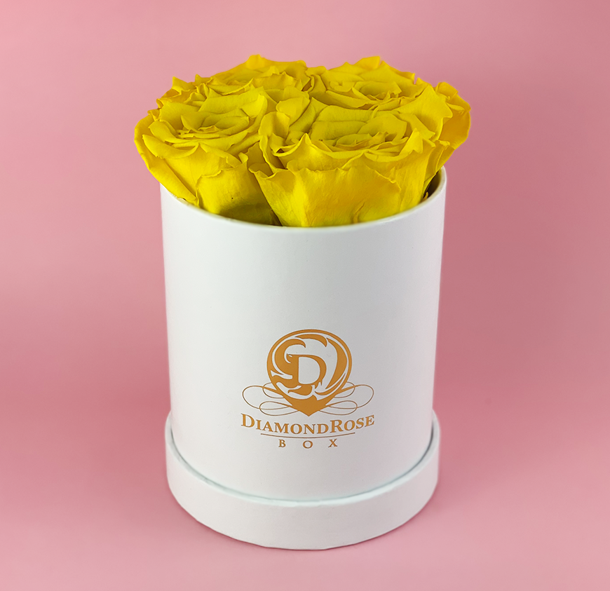 Gem Matte Box Gem Matte Box