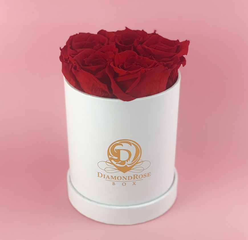 Gem Matte Box Gem Matte Box