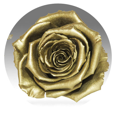 The Queens Long Lasting Roses In a Box The Queens Long Lasting Roses In a Box