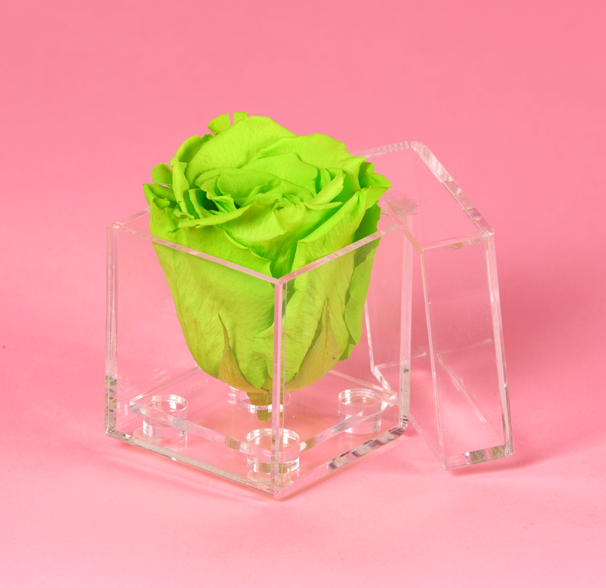 Diamond Box Diamond Box