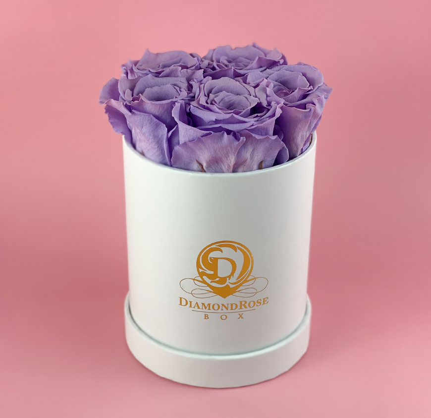 Gem Matte Box Gem Matte Box