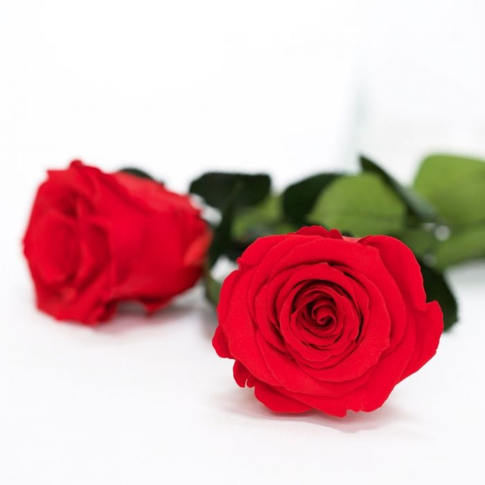 Clear Heart Box Clear Heart Box