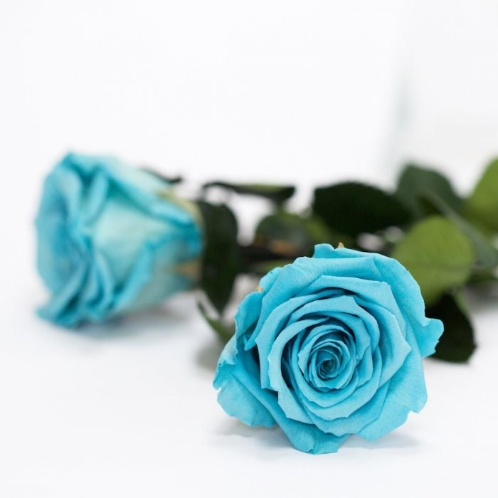 Clear Heart Box Clear Heart Box