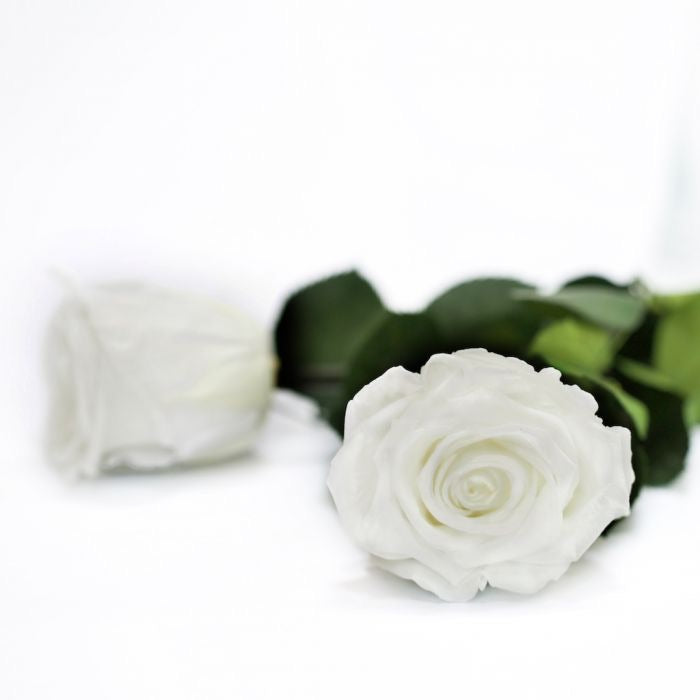 Clear Heart Box Clear Heart Box