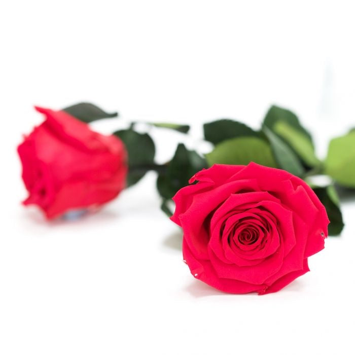 Clear Heart Box Clear Heart Box