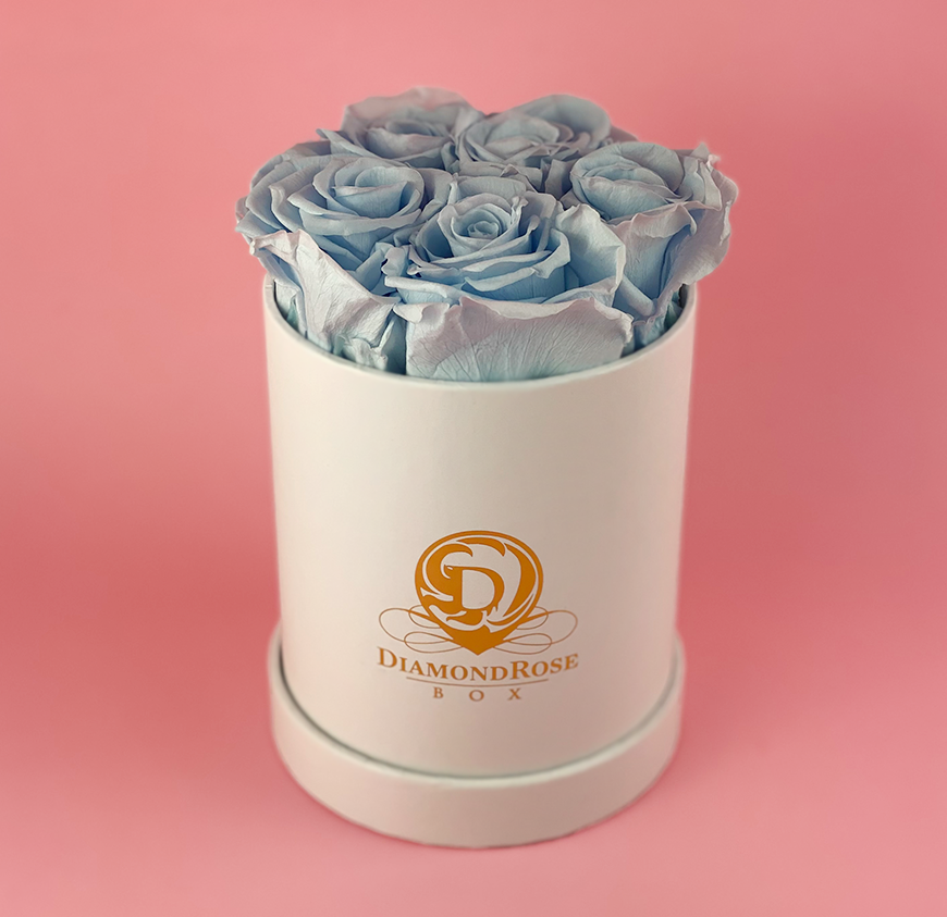 Gem Matte Box Gem Matte Box