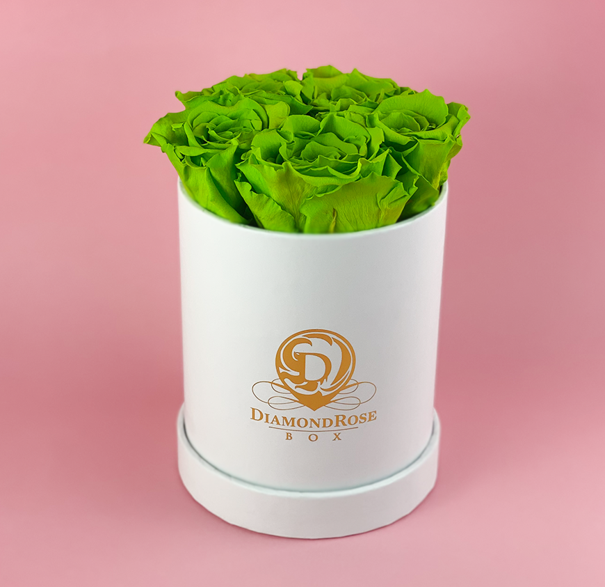 Gem Matte Box Gem Matte Box