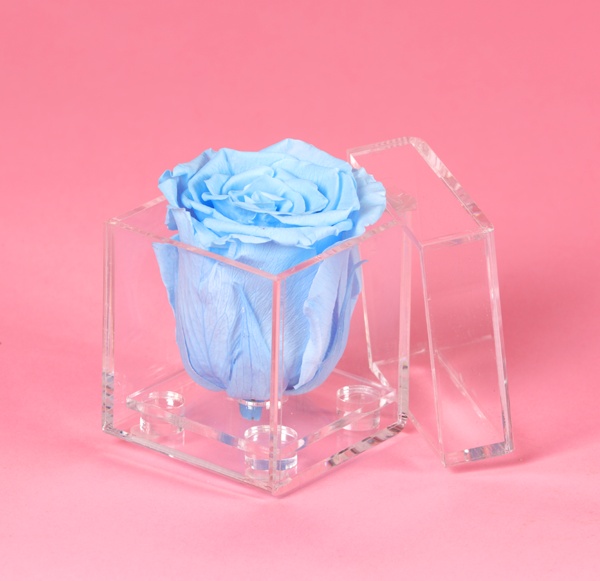 Diamond Box Diamond Box