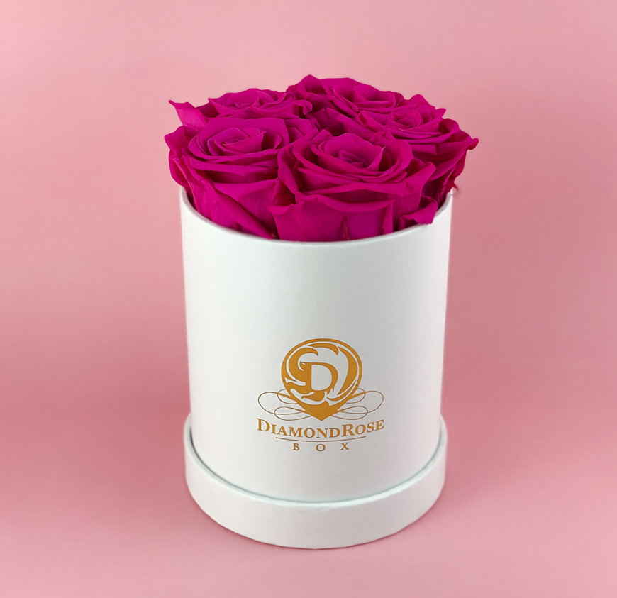 Gem Matte Box Gem Matte Box