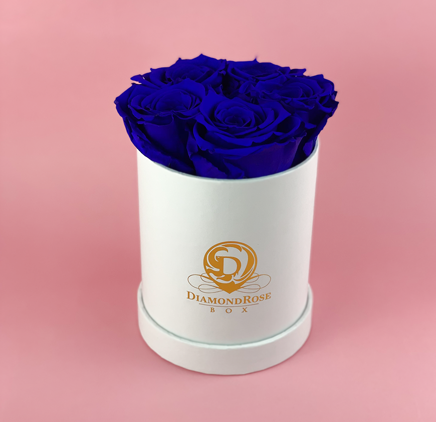 Gem Matte Box Gem Matte Box