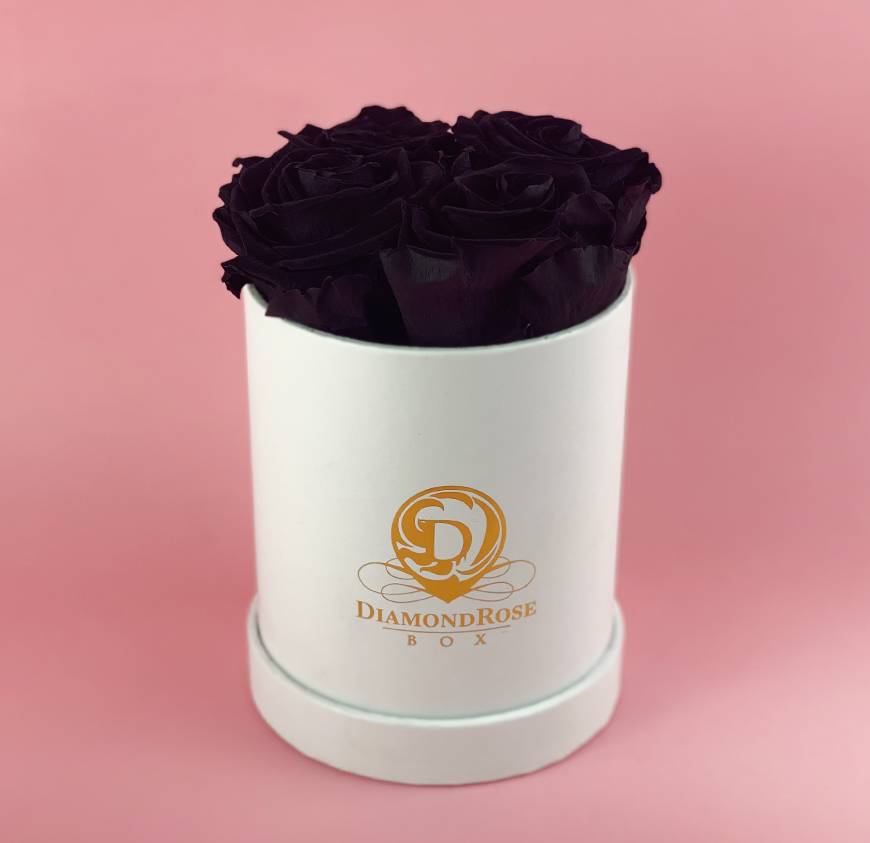 Gem Matte Box Gem Matte Box