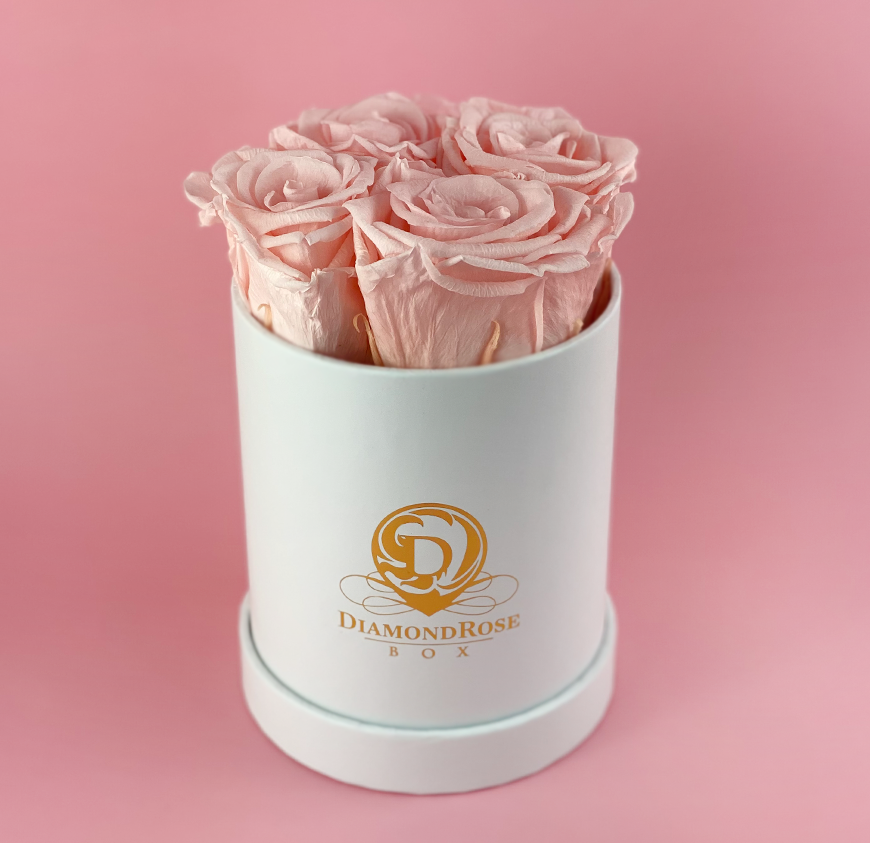 Gem Matte Box Gem Matte Box